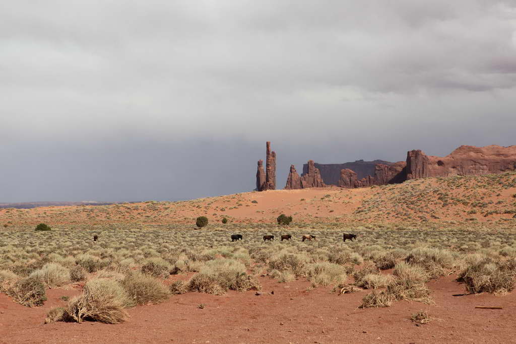 Monument Valley Navajo Tribal Park